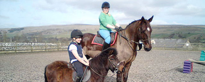 Pony Week at Skipton